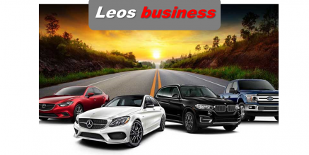 Leos business