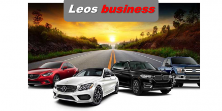 LEOS BUSINESS